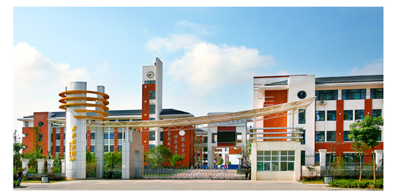 合肥待遇最好的5所小学，考上就是铁饭碗！