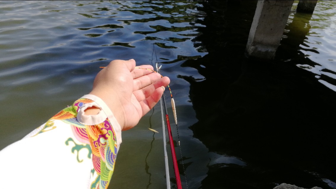 钓鱼装备全套整理渔具选择,在渔具店买钓鱼的装备