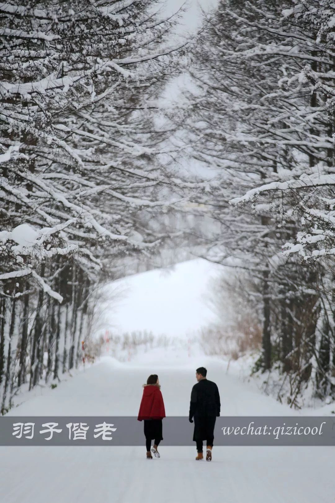 日本10天自由行费用北海道,东京北海道5日自由行攻略