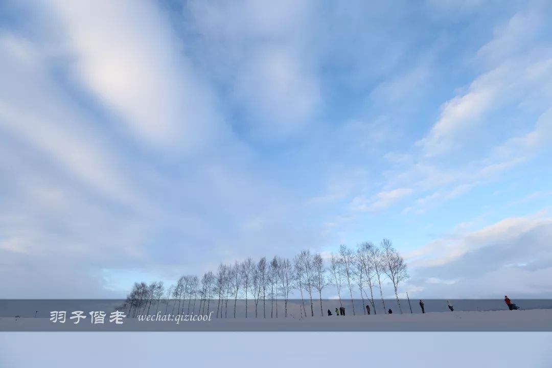 日本10天自由行费用北海道,东京北海道5日自由行攻略