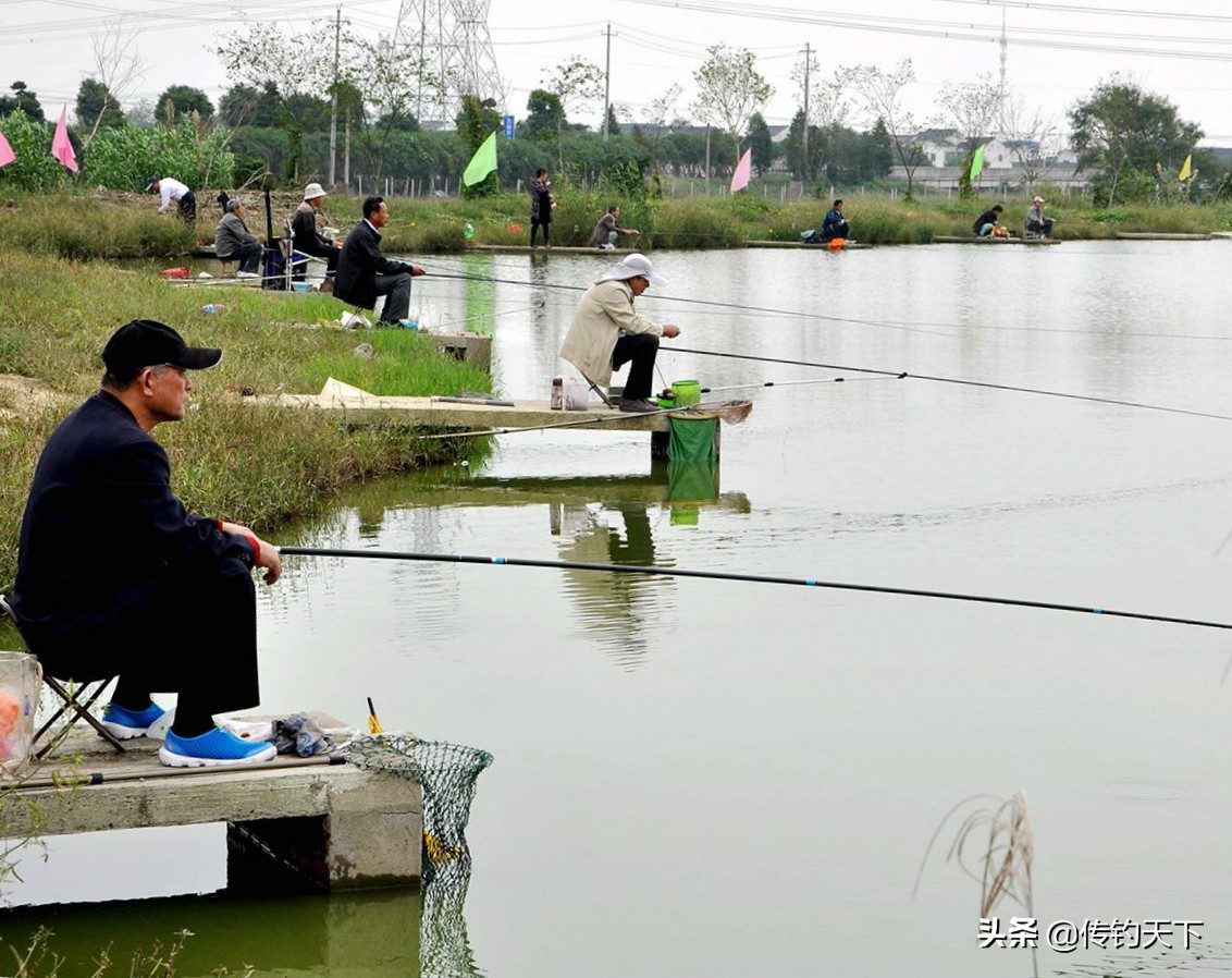 玉米打窝饵料制作,老玉米自制窝料加麸皮吗