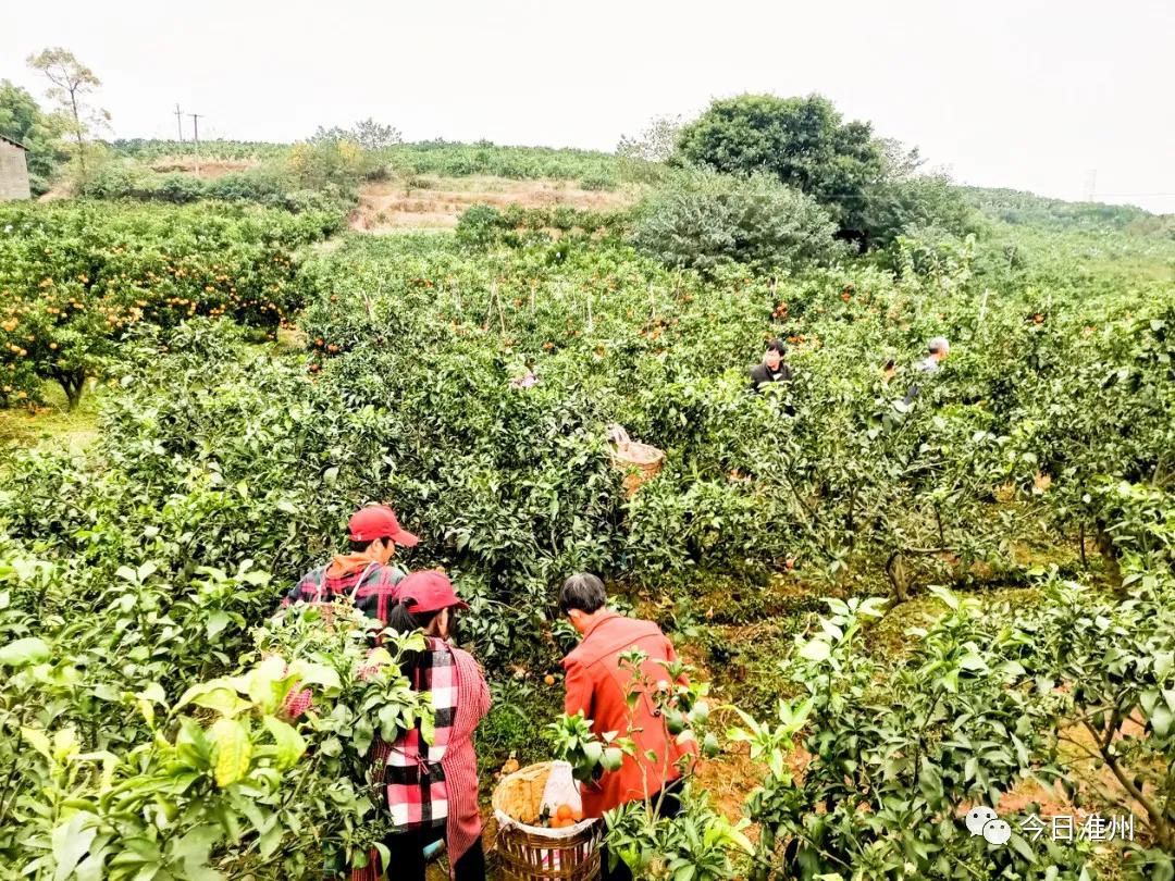 淮口景区,淮口附近旅游景区推荐一下