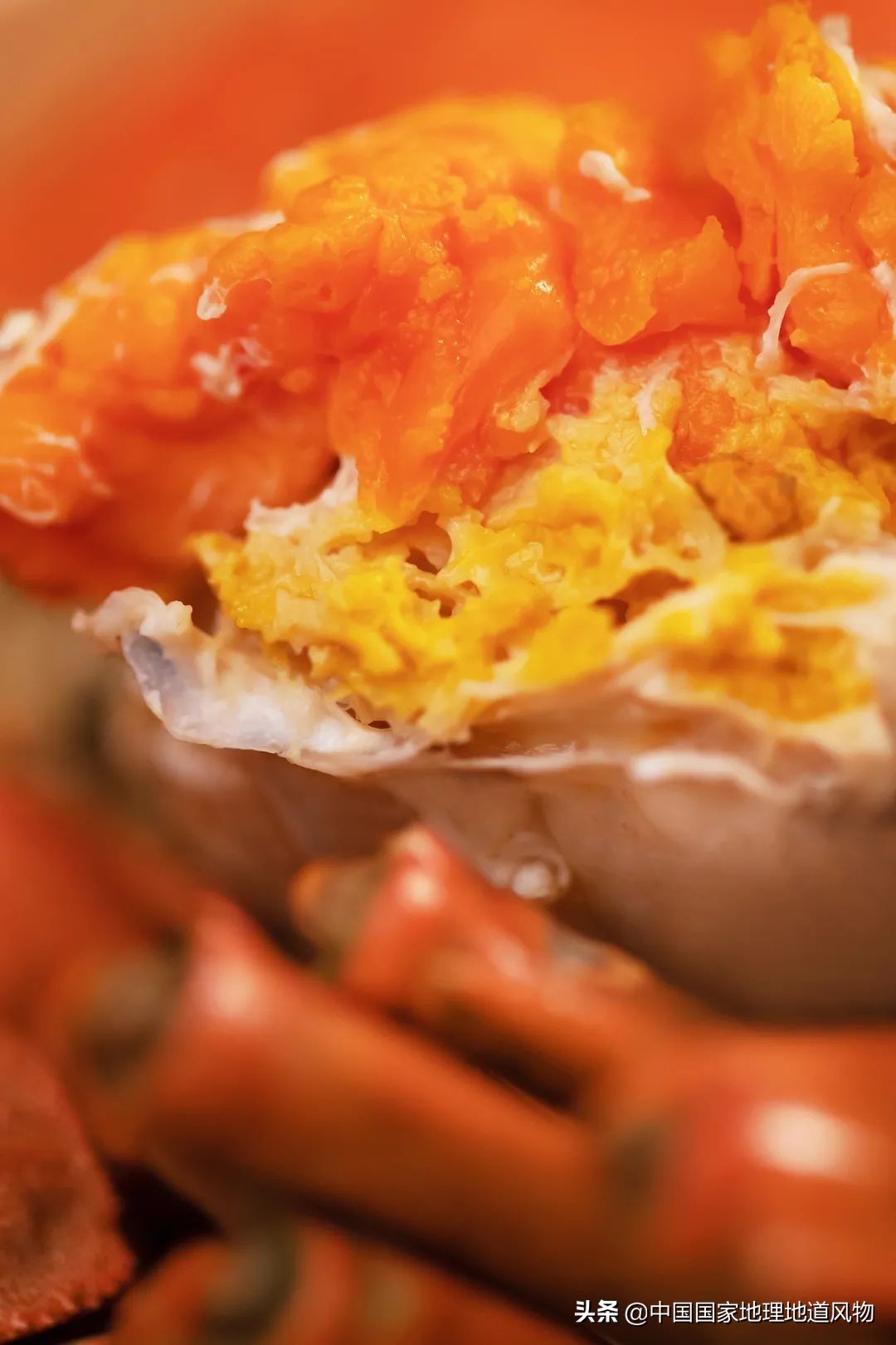 中国夏天地图全图,中国秋色地图