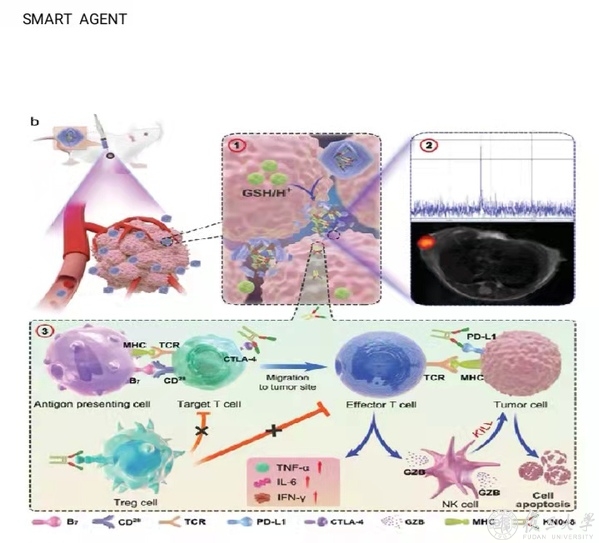 肿瘤医院宋少莉,复旦肿瘤宋少莉