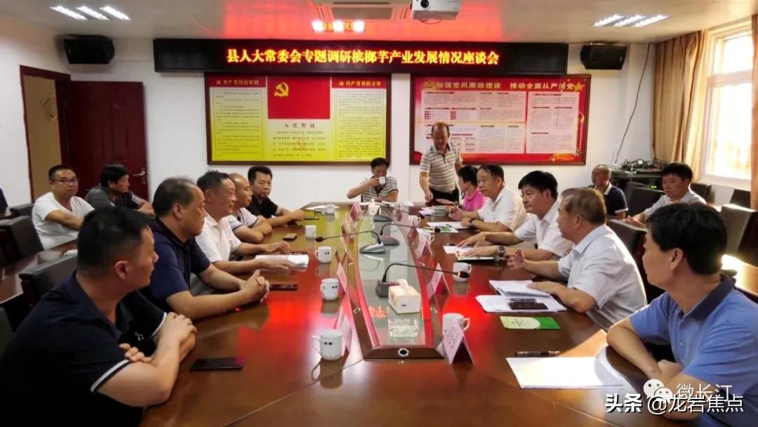 不断提升农产品附加值,闽西长汀县槟榔芋基地