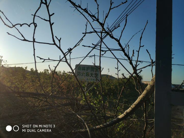 大连长兴岛长城,大连长城4s店