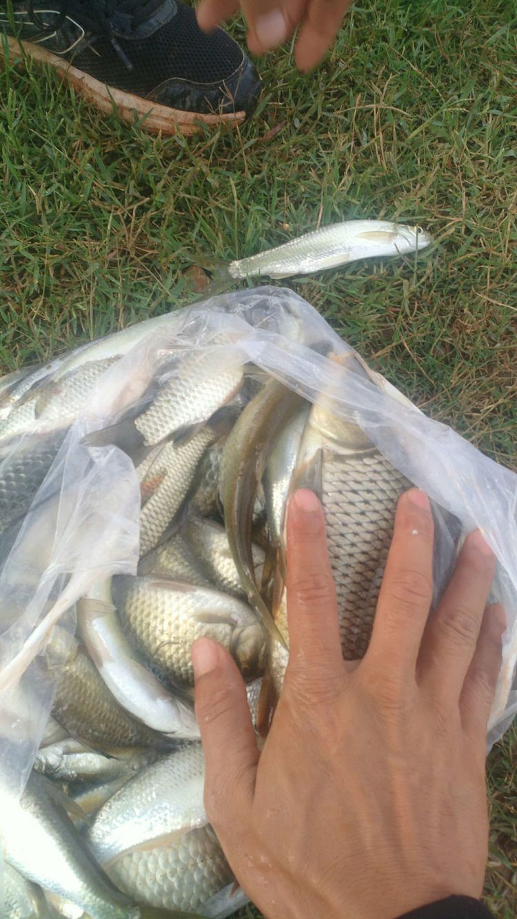 昆明周边露营野钓最佳地方,昆明周边风景优美的野钓地方