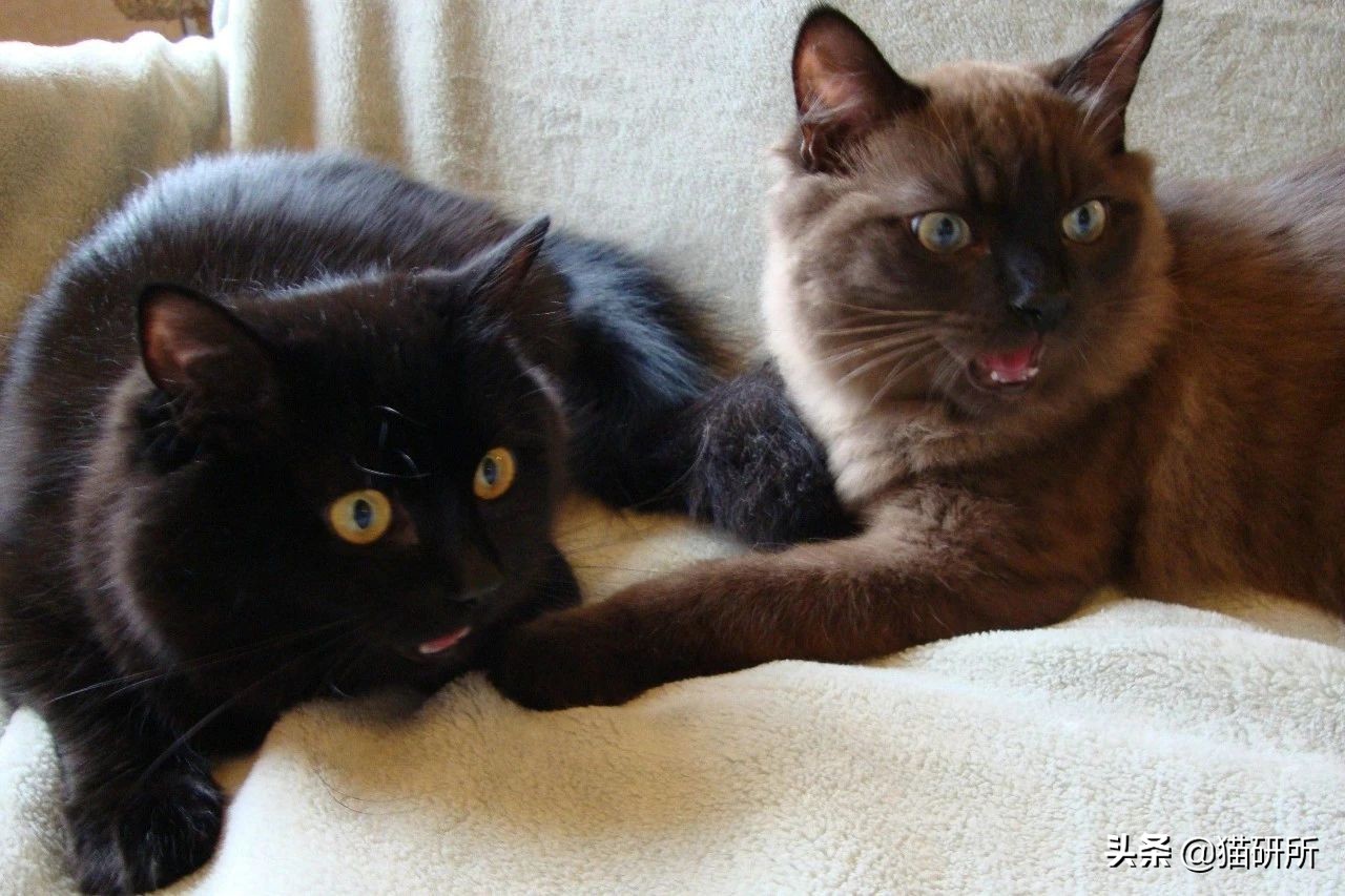 在外受气回家打儿子,在外受欺负回家打老婆孩子