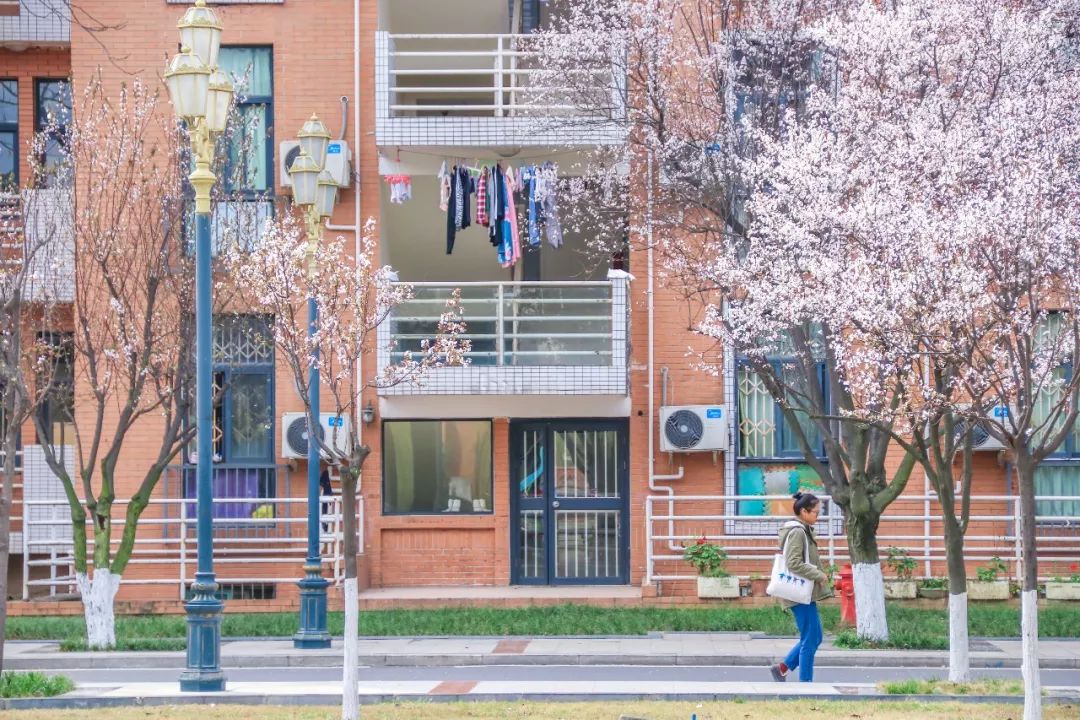 西南民大值得去读吗,西南民大是什么级别