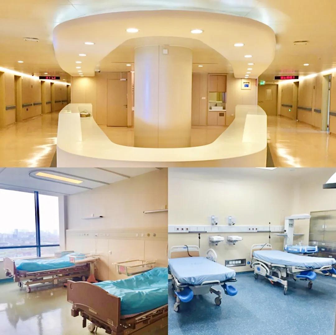 真香全文阅读,真香完结短篇