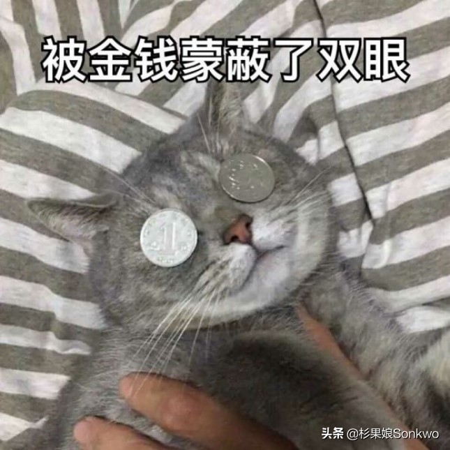 实体版VS数字版：“旧时代的残*党**”还能登上新时代的船吗