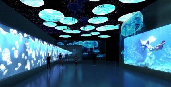 金牛湖野生动物王国自驾去怎么去,南京金牛湖野生动物王国最新活动