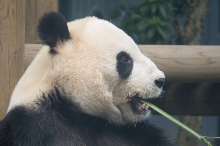 摄影拍照怎么避免雾气,拍照如何除去雾感