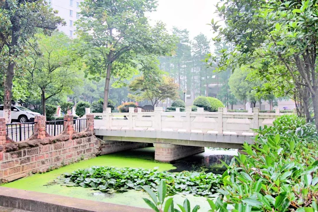 武昌这所低调的大学坐拥一线江景，教学楼窗外就是黄鹤楼