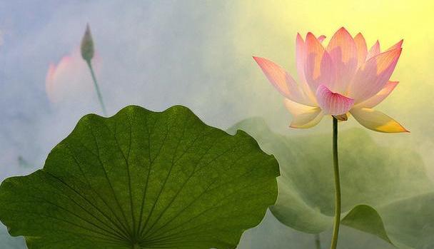 老婆不理我怎么办教你一招,老婆不理你怎么挽回