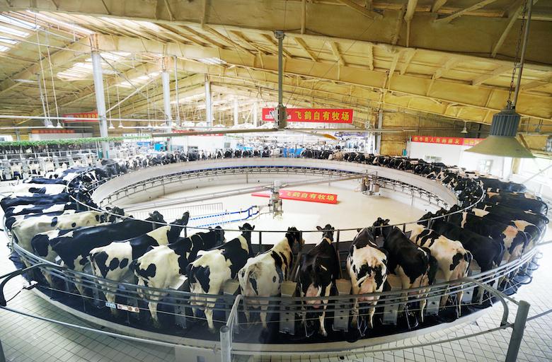 中国婴幼儿奶粉格局,奶粉市场为何乱象不断