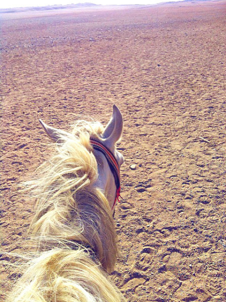 青甘大环线几月份去比较好,甘青大环线旅游跟团游旅行社报价