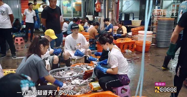 无剧本封闭式综艺,最真实无剧本的综艺