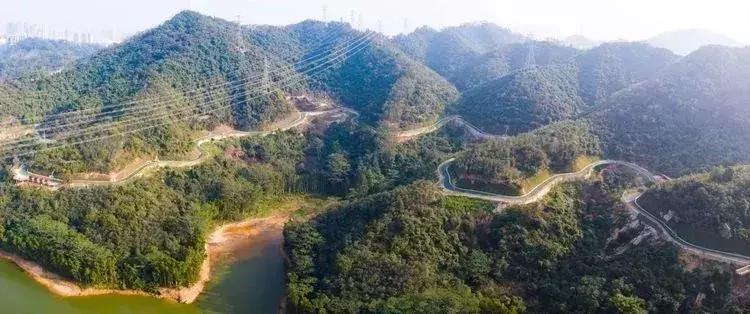 羊台山风景视频大全,深圳羊台山哪里风景最好