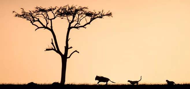 在创业过程中最重要的因素是什么,在创业时一般会遇到哪些问题