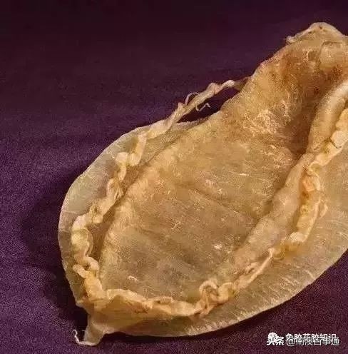 涨知识！鱼胶种类大全，不看亏大了！