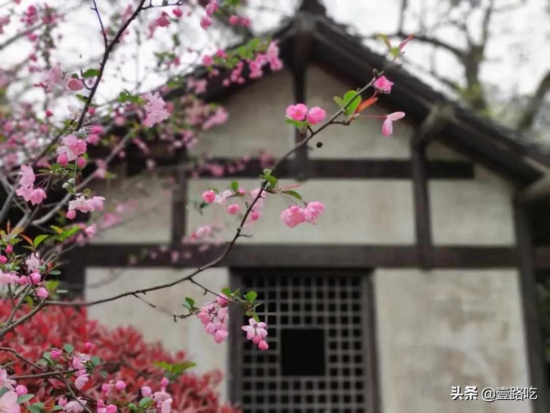 无锡人都在吃什么,无锡人为什么喜欢吃甜的