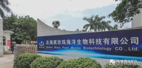 公司背景问题重重，北海黑珍珠推出的淳肌新电商是否前景可观？