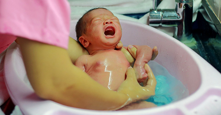 儿童怎么清洁鸟,怎么帮幼鸟清洁