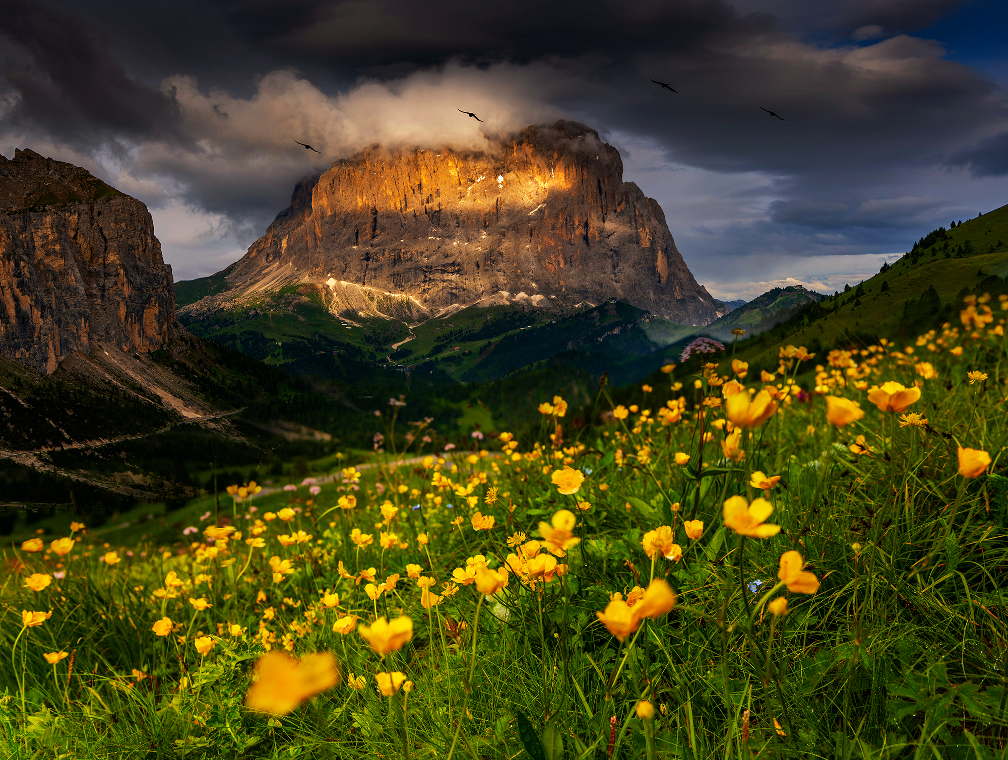照片的画质也越来越清晰,照片画质不好怎么变清晰