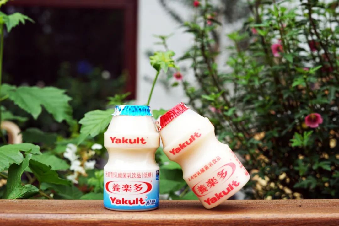 养乐多在中国销售下降的理由,养乐多盈利