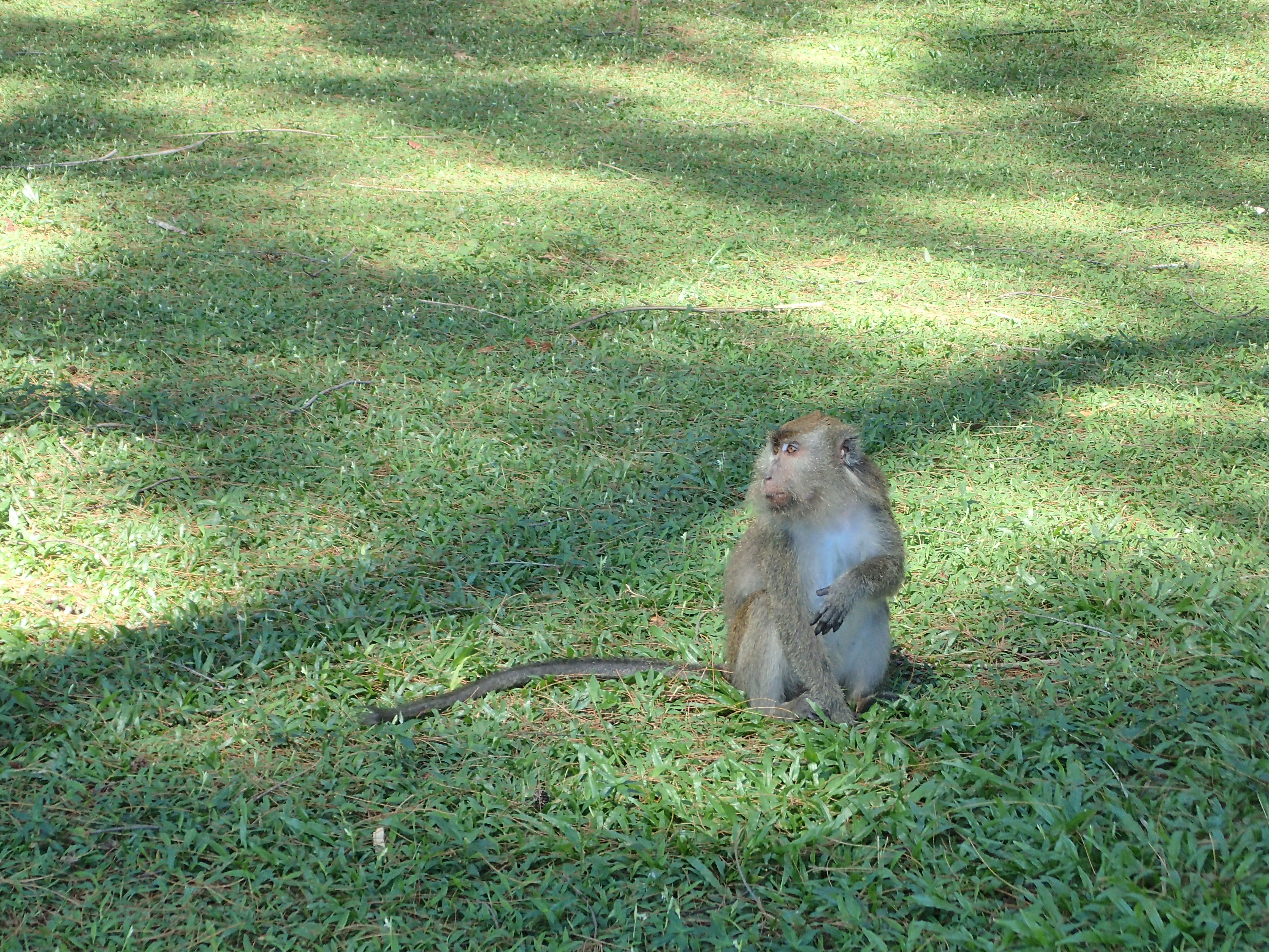 沙巴潜水推荐,马来西亚沙巴潜水哪里好