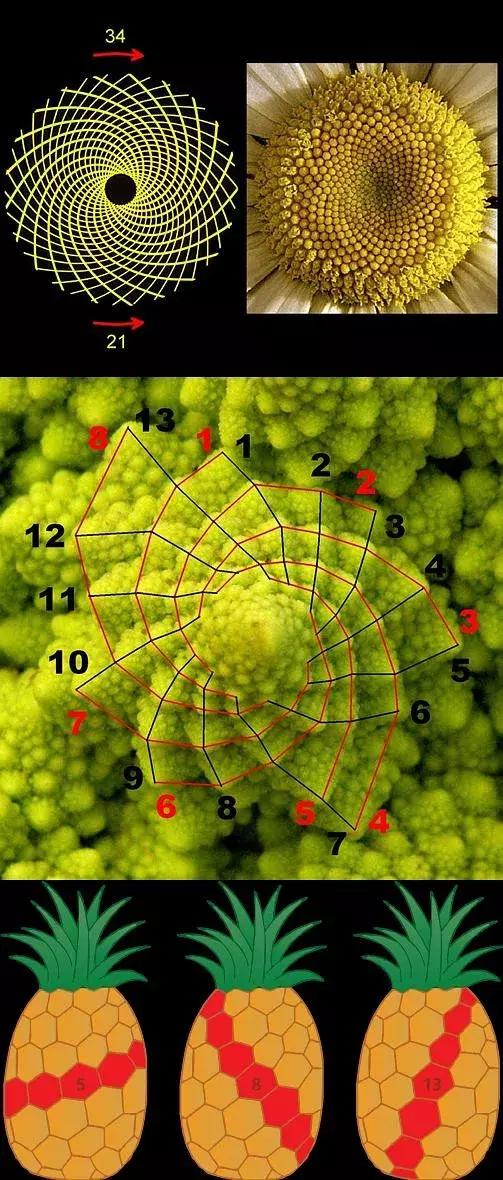 天天上课睡觉的学生怎么办,学生白天上课爱睡觉是怎么回事