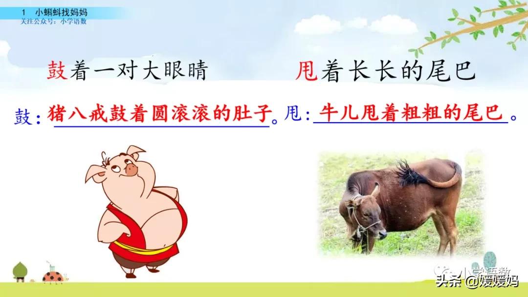 二年级上册小蝌蚪找妈妈听写词语,朗读二年级上册语文小蝌蚪找妈妈