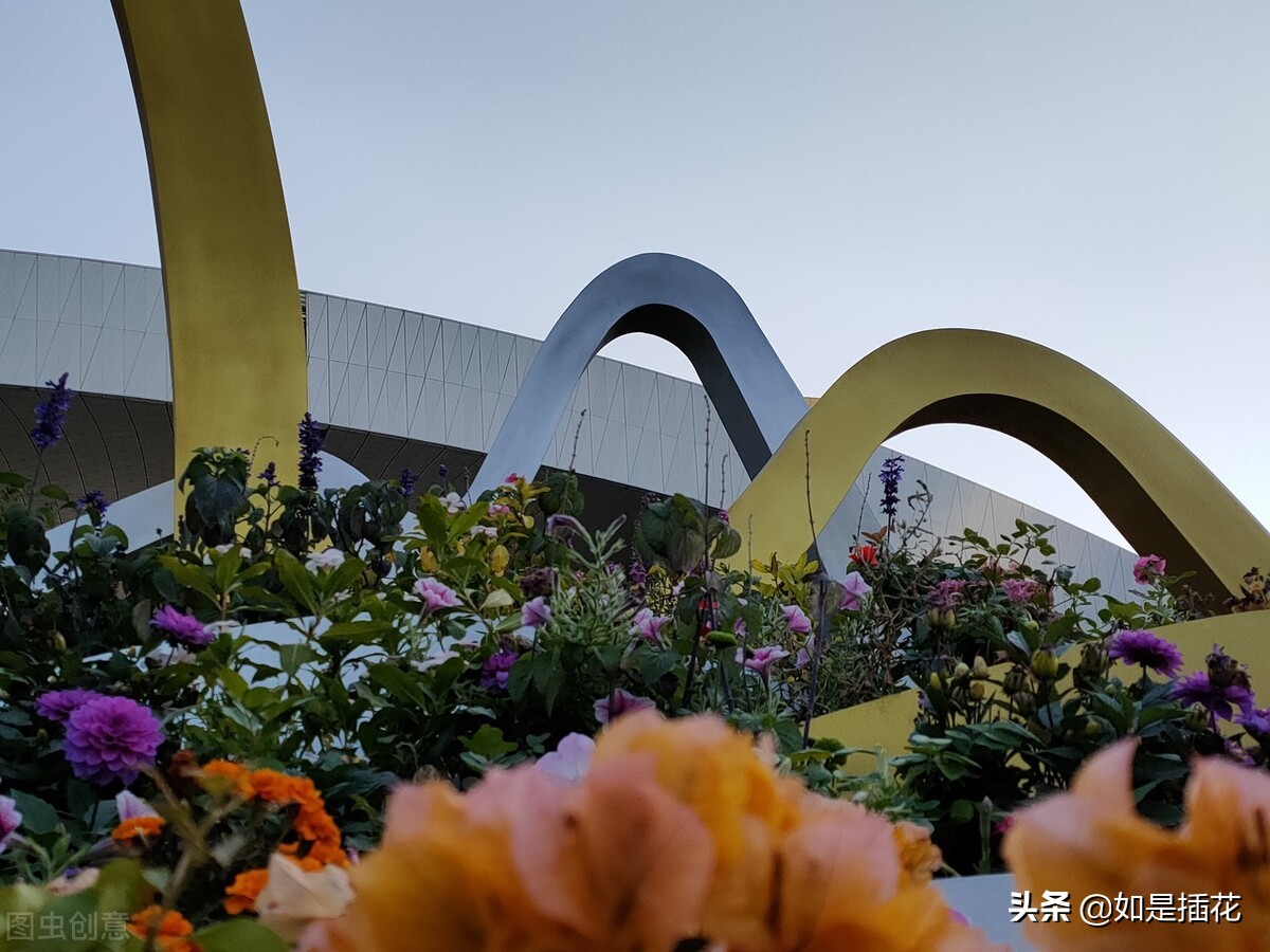 借一杯茶表达情意,借一杯茶修行