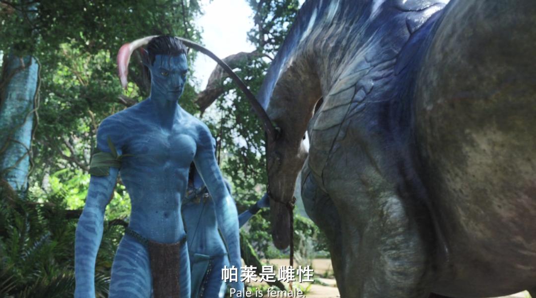 阿凡达最新彩蛋,阿凡达你不知道的隐藏细节