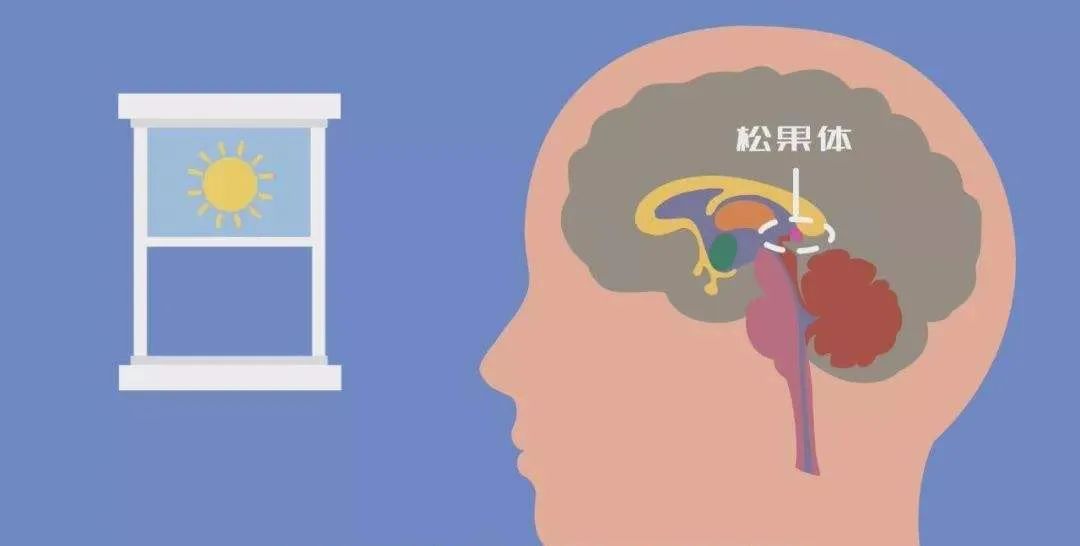 当十几岁的孩子开始失眠和抑郁,建议家长先从这件事做起