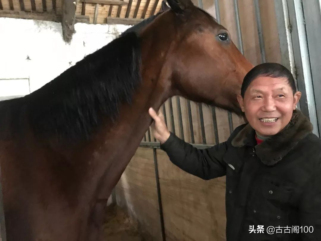 萧绍古道完整版,萧绍古道高度