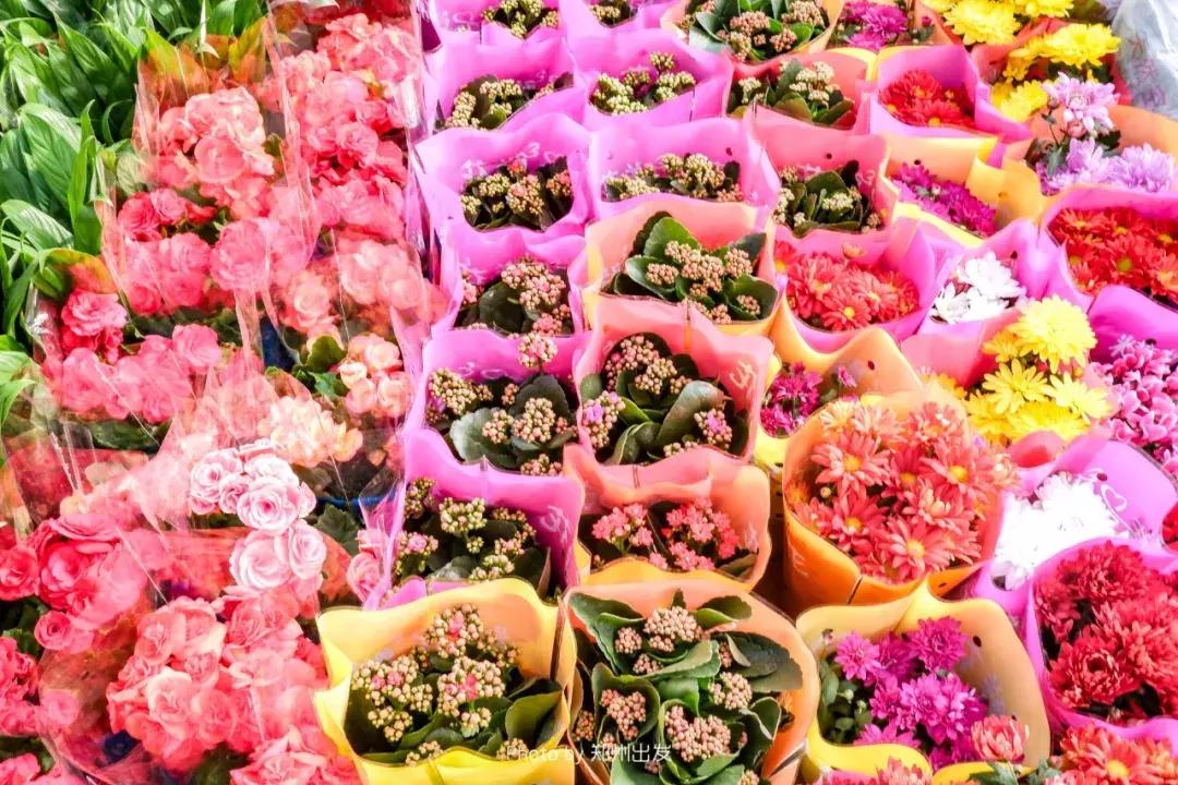 郑州三大花卉市场都是哪个,郑州哪个花卉市场最全