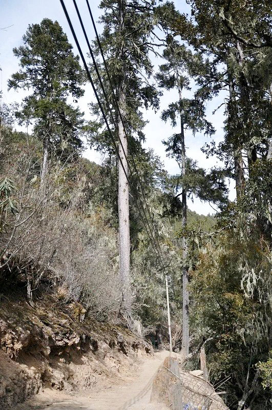雪山脚下的雨崩村徒步,雨崩村徒步之旅