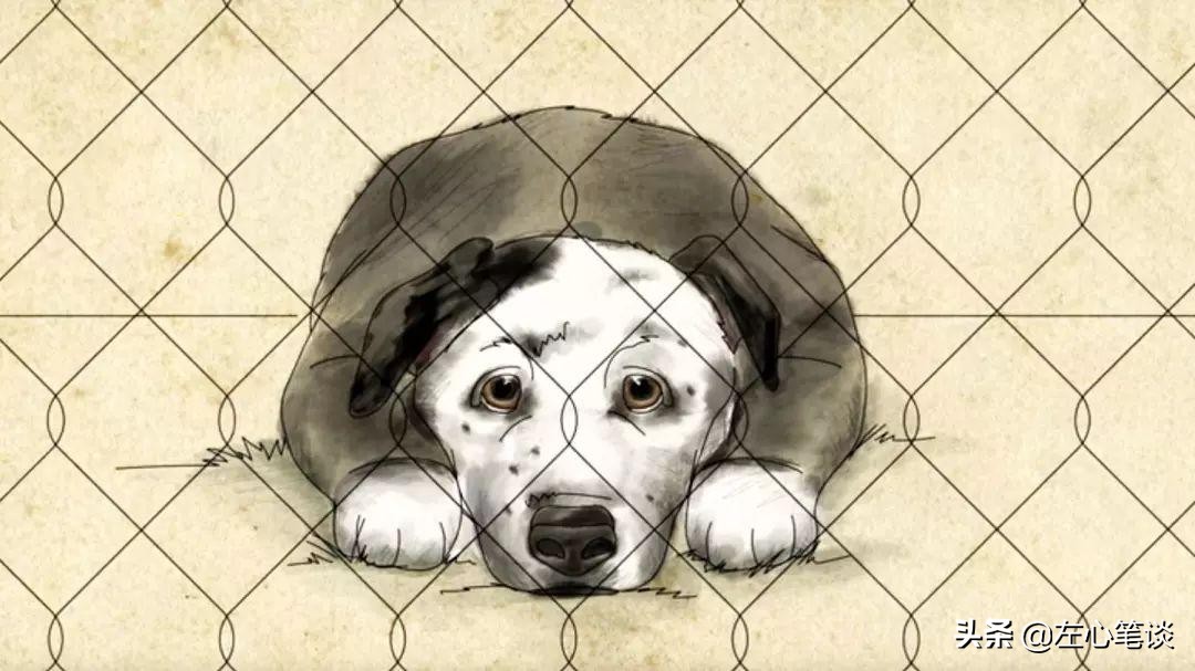 北大丁教授吐槽学渣女儿：懂点心理学的父母，认命却不躺平