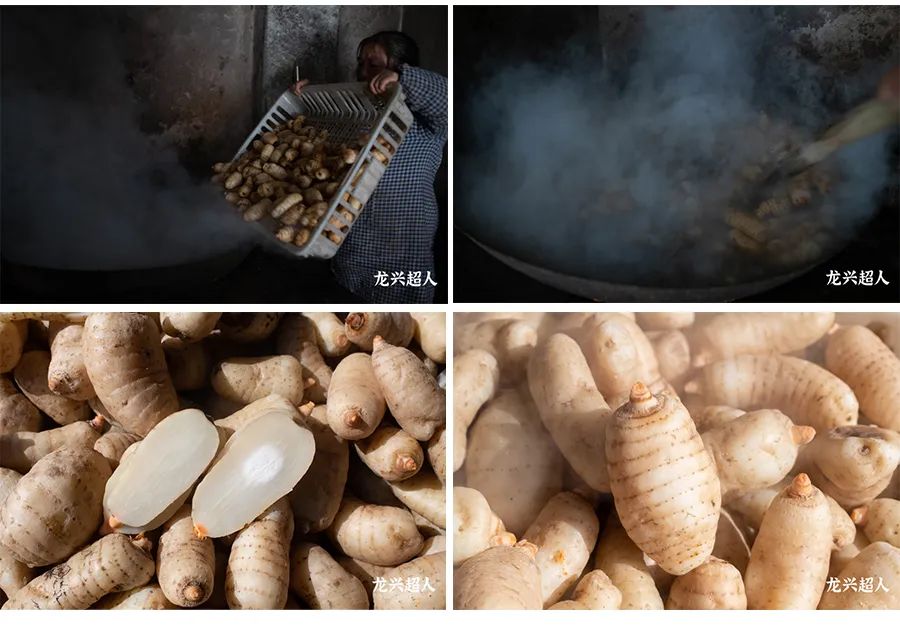 安徽道地药材天麻,天麻的道地药材