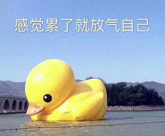 我会配合你的工作表情包,感谢您对我工作的配合表情包