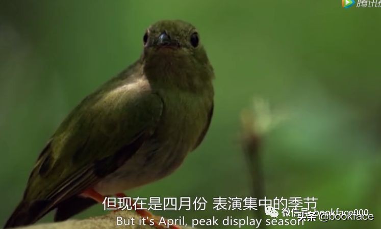 你这个坏怂，尽显渣之本色