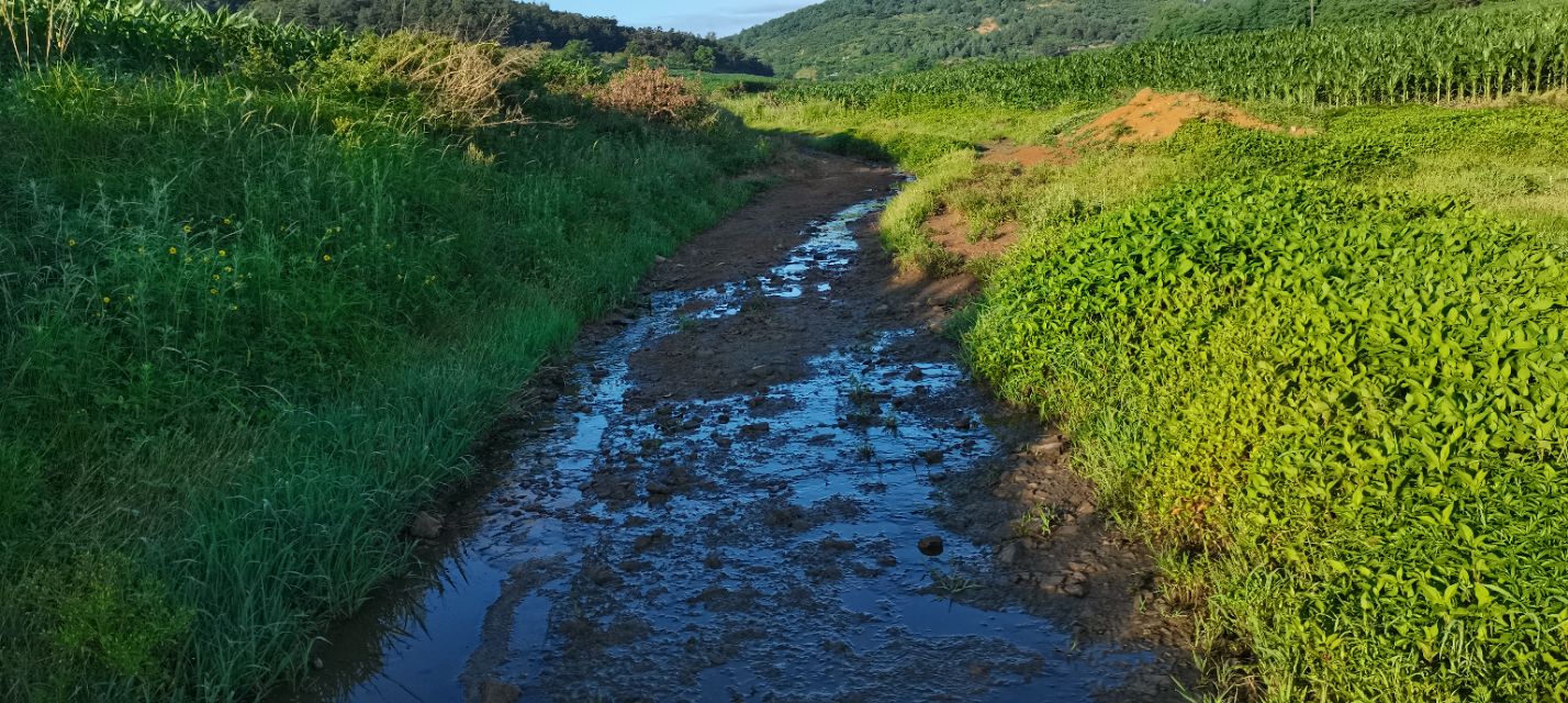 原创山核桃,小小的山核桃怎么吃