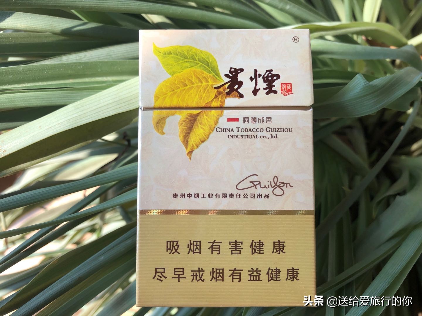 旅行不只有美食，还有藏在一支支香烟中的地域文化