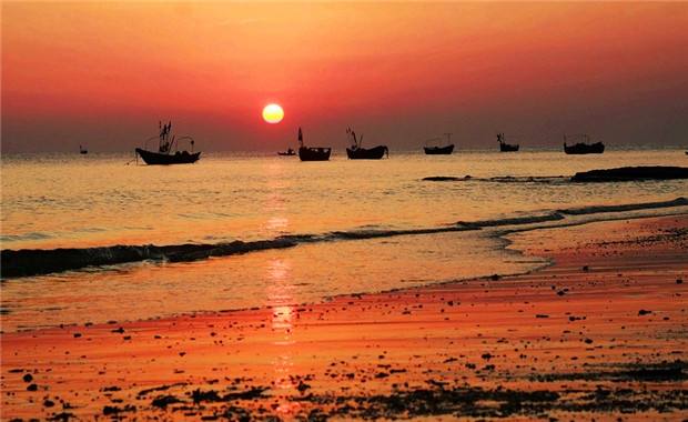 上海周边樱花自驾,上海周边自驾樱花