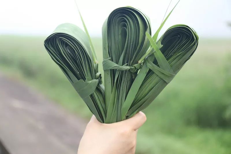 江阴粽子,江阴端午