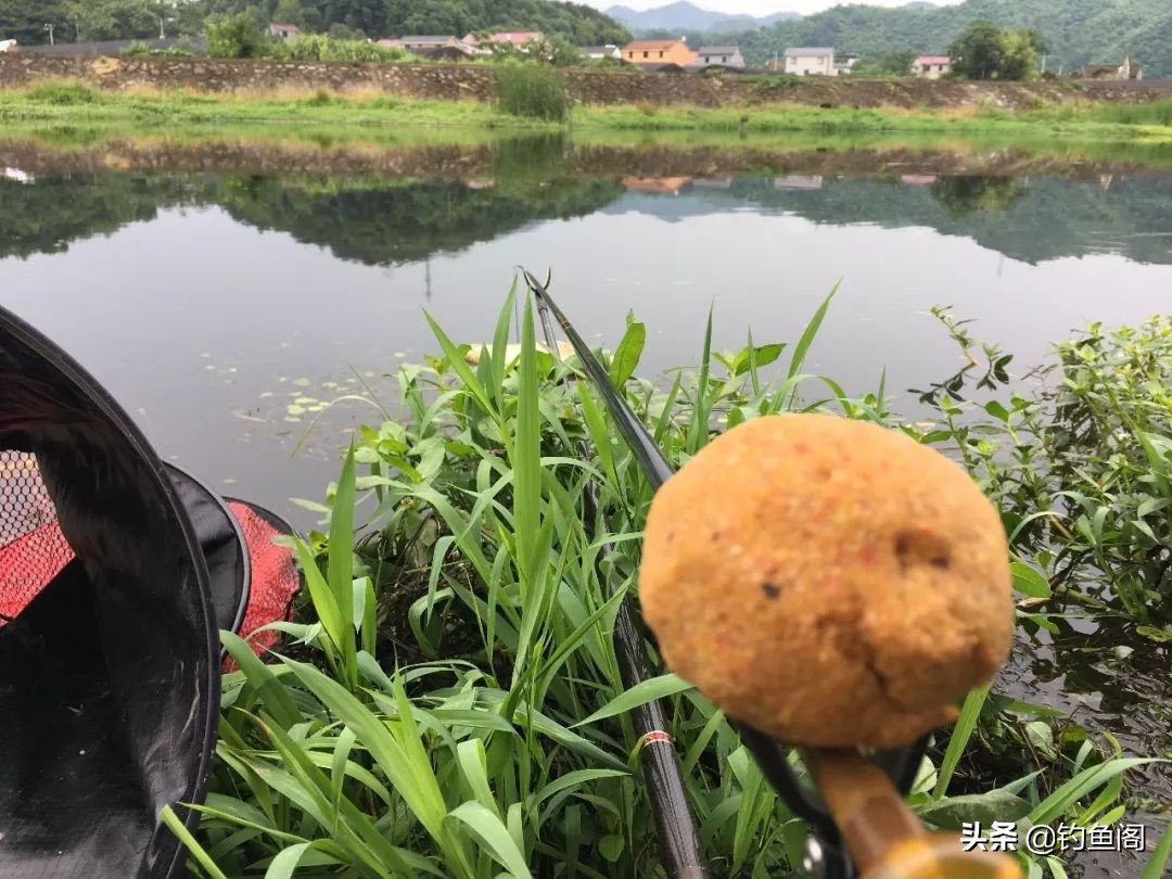 冬天用薯味饵料钓鲤鱼怎么样,薯味黄色风暴配什么饵料