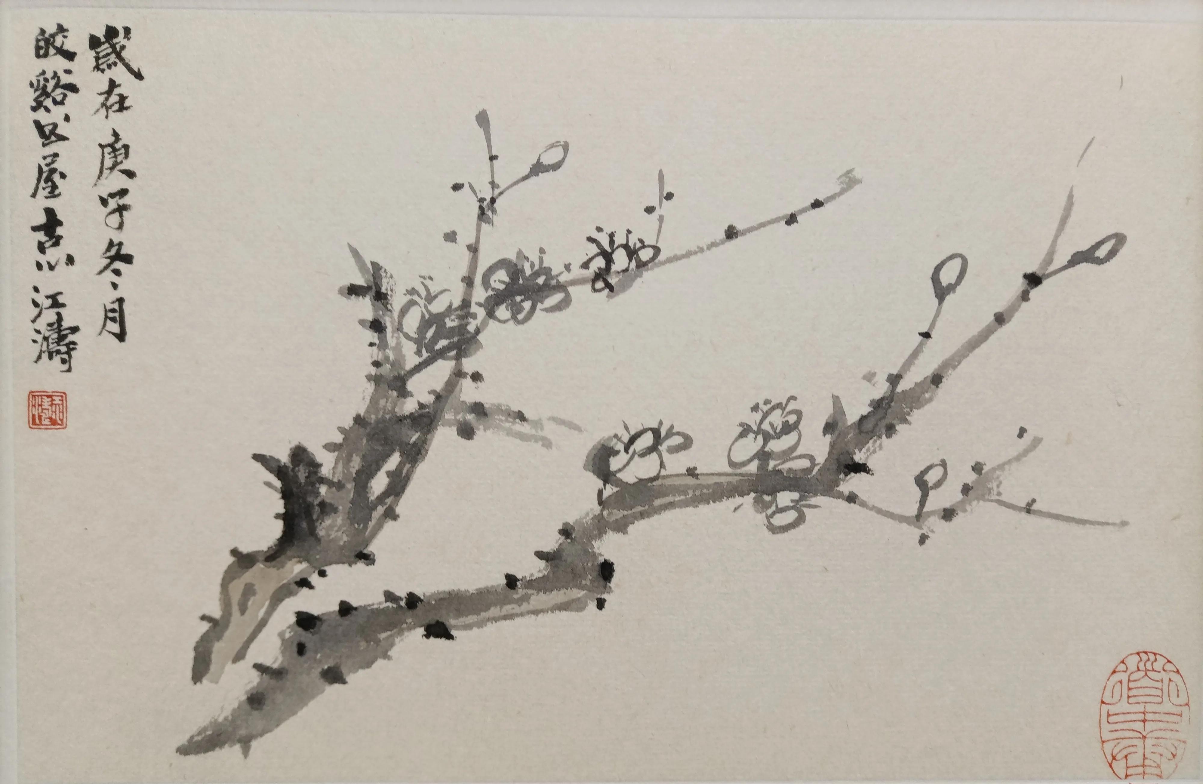 中国书法家江涛,中国墨江介绍视频