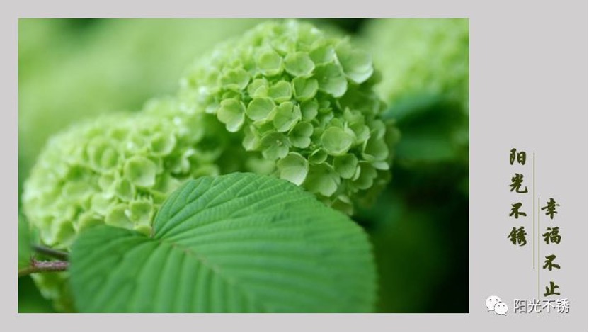 在瑞士买什么有纪念意义,在瑞士消费高